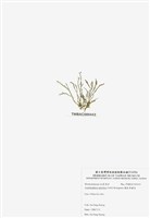 藏品(穗狀魚棲苔)的圖片